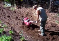 Garden-Soil-Removal